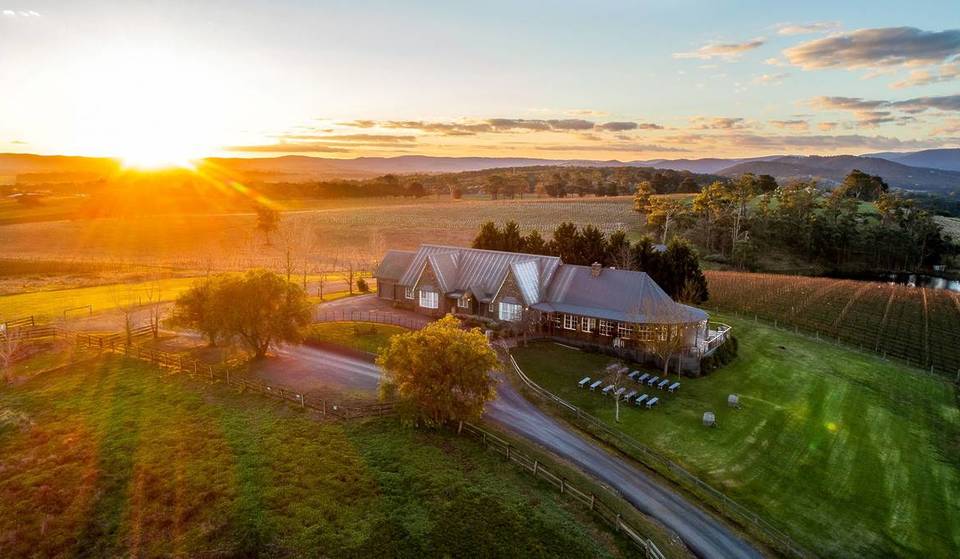 Victoria’s only hop-on hop-off winter wine route starts tomorrow — this new secret “Purple route” lets you build your own Yarra Valley tasting for under $100