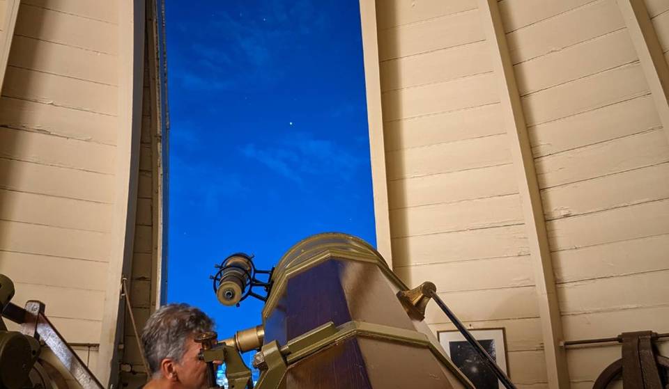 Marvel at the wonders of the night sky with these dreamy $45 tours in the Royal Botanic Gardens