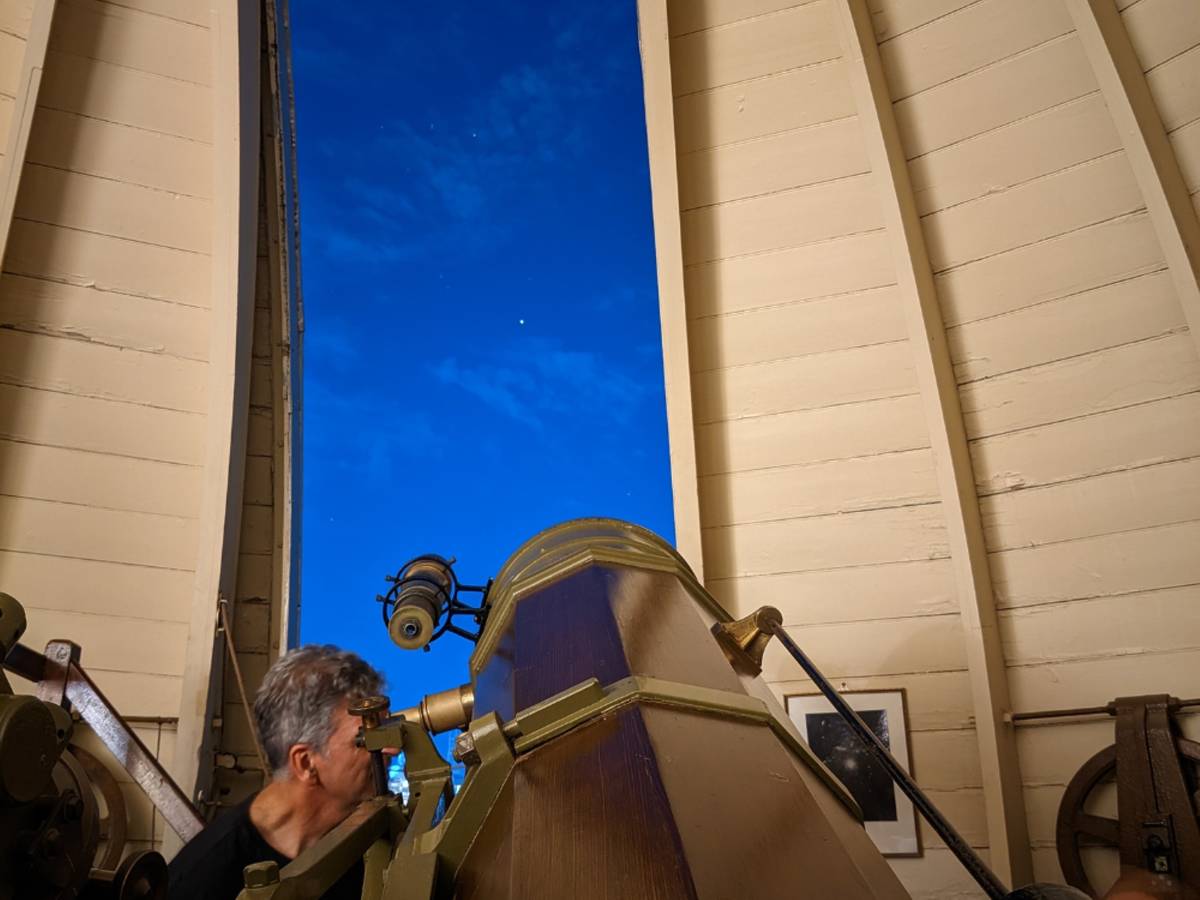 Marvel at the wonders of the night sky with these dreamy $45 tours in the Royal Botanic Gardens