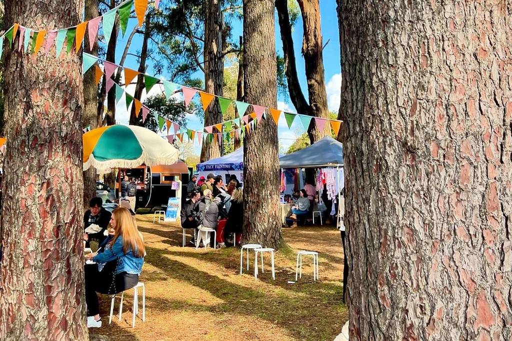 view of stalls and people relaxing at The Lost Woods Market, framed by the trunks of two trees