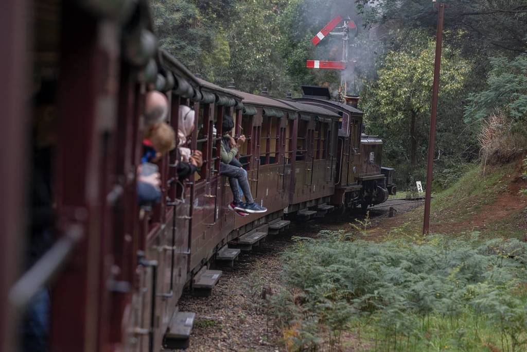 people riding on Puffing Billy Railway
