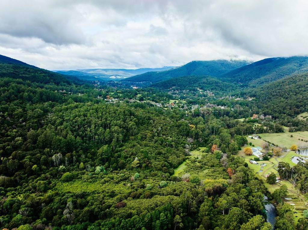 aerial view of Warburton and the surrounding forest and mountains