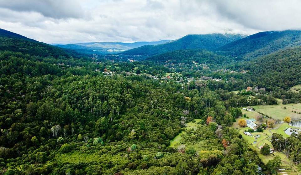 Nestled in a valley, this pretty town offers a wonderful winter escape, with snow play nearby and a mystical redwood forest