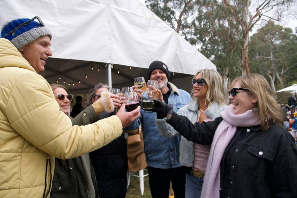 group of people at Wine & Wildlife clinking their glasses together