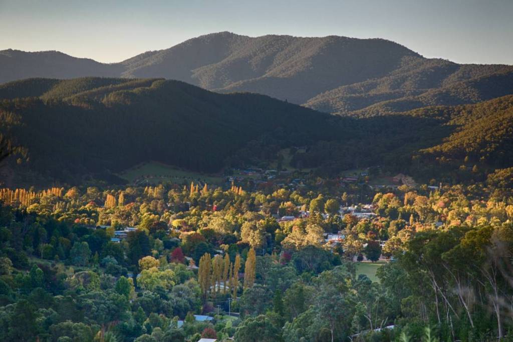 aerial view of Bright with mountain in background on a muted autumn day