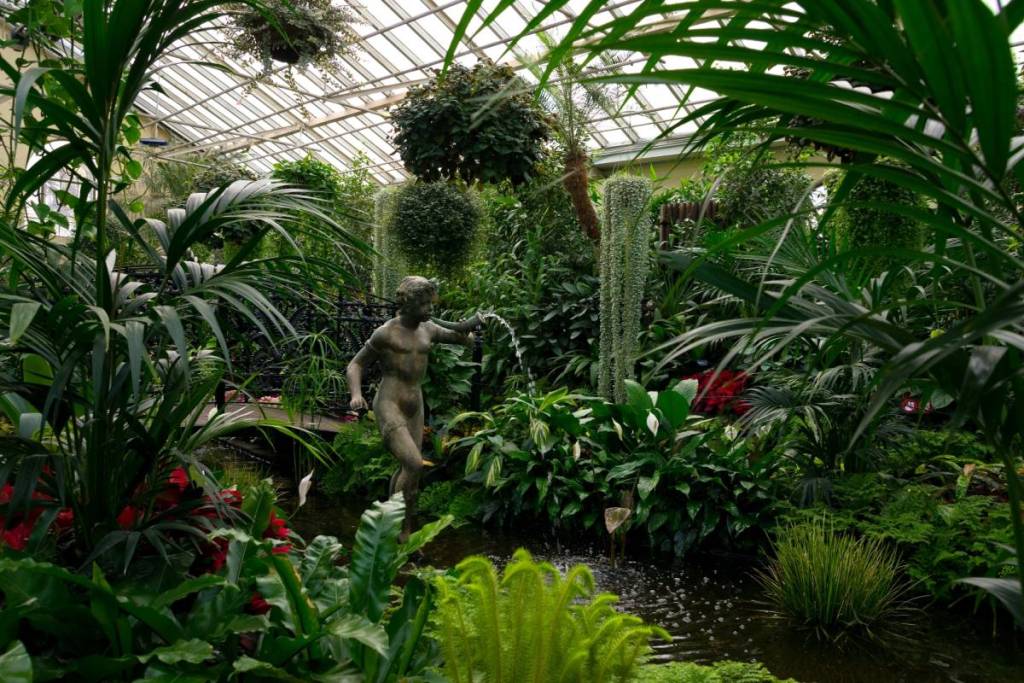 tropical plants on display in The Conservatory in Fitzroy Gardens