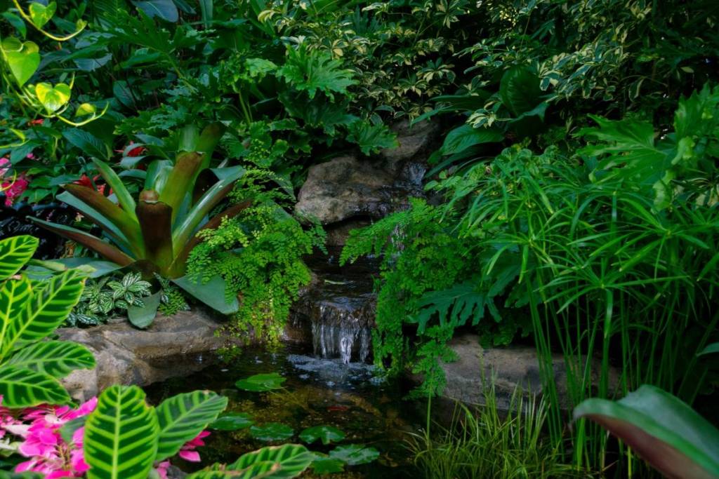 tiny little water feature among greenery at the Conservatory in Fitzroy Gardens