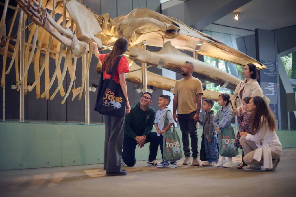 children in front of a dinosaur skeleton on one of the Tiny Tours by Melbourne Museum