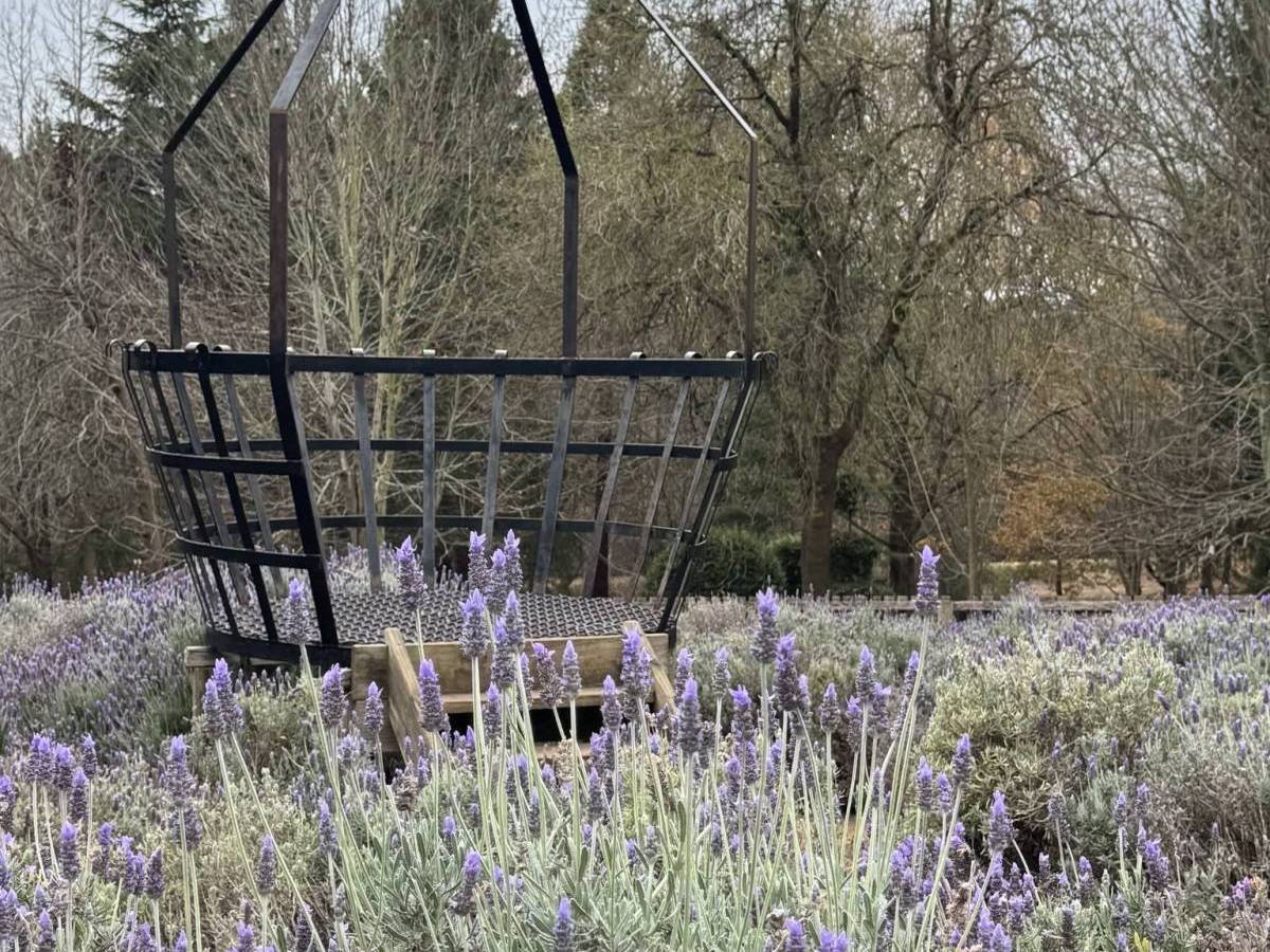 the little platform above the lavender labyrinth
