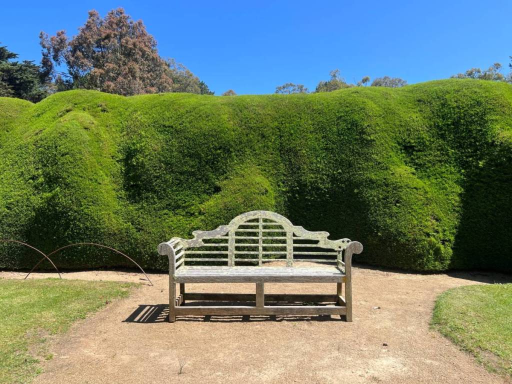 bench in front of maze on a sunny day 