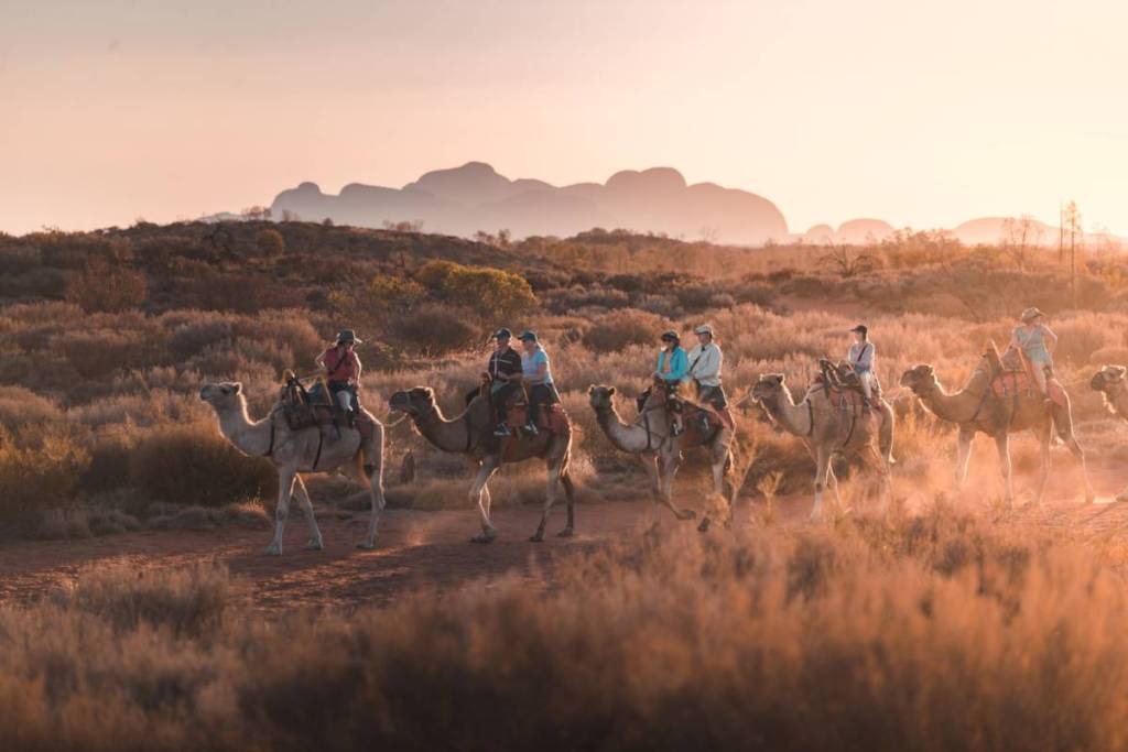 people on a camel tour near Uluru