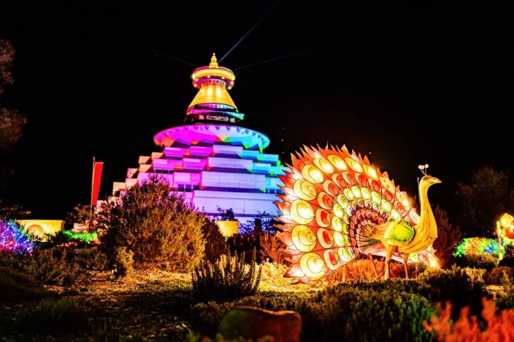 the Great Stupa of Universal Compassion and a peacock installation lit up at night for Enlighten event