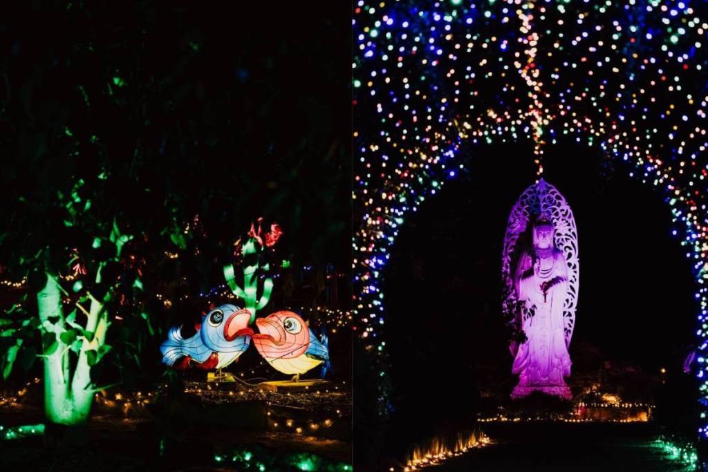 illuminated installations in the Peace Park at night