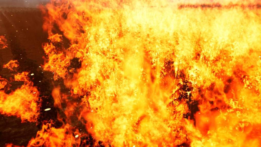 trees on fire in Firestorm 