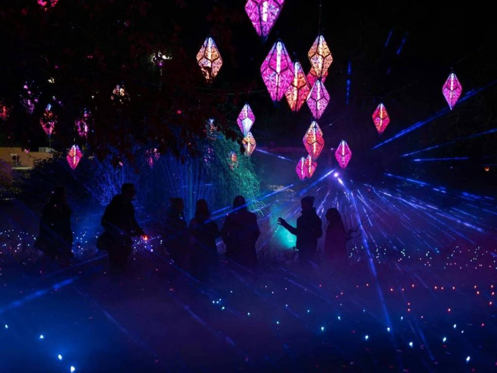 people walking underneath lights at Eclipse: In Bloom at Geelong Botanic Gardens