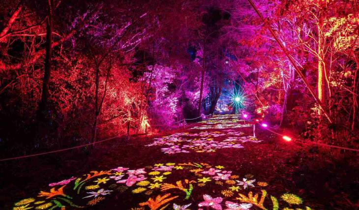 A pretty winter night trail is now twinkling away in a garden that’s just one hour from Melbourne