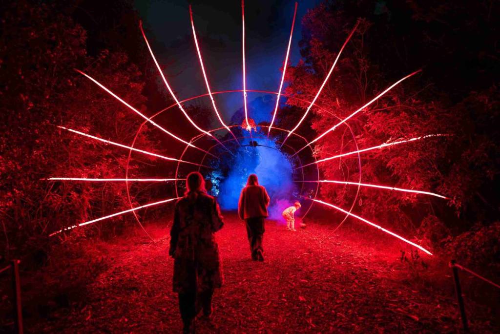 people walking and seeing lights at Eclipse: In Bloom