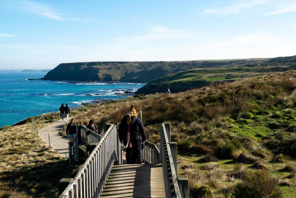 people on the boardwalk section of the walk between Pyramid Rock lookout and Berrys Beach