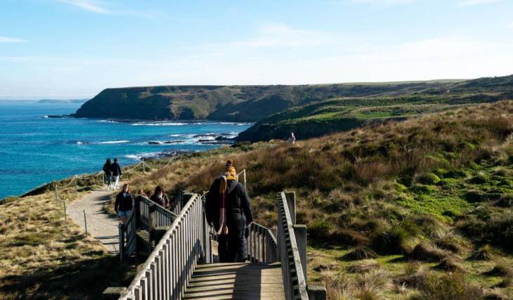 This rugged clifftop trail two hours from Melbourne is packed with winter whale watching opportunities, striking rock formations and grazing wallabies