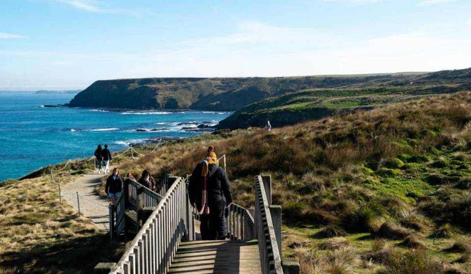 This rugged clifftop trail two hours from Melbourne is packed with winter whale watching opportunities, striking rock formations and grazing wallabies