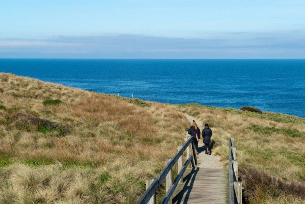 people walking on the track between Pyramid Rock and Berrys Beach