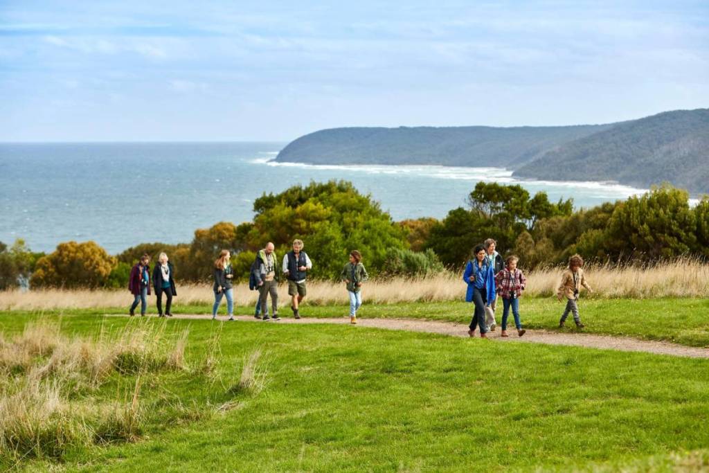people on a Wildlife Wonders tour, with the ocean in the background