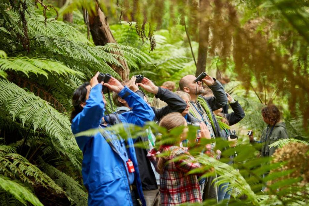 people using binoculars among ferns and trees at Wildlife Wonders sanctuary