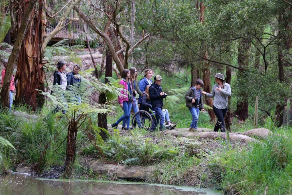 people walking through forest on a Wildlife Wonders tour