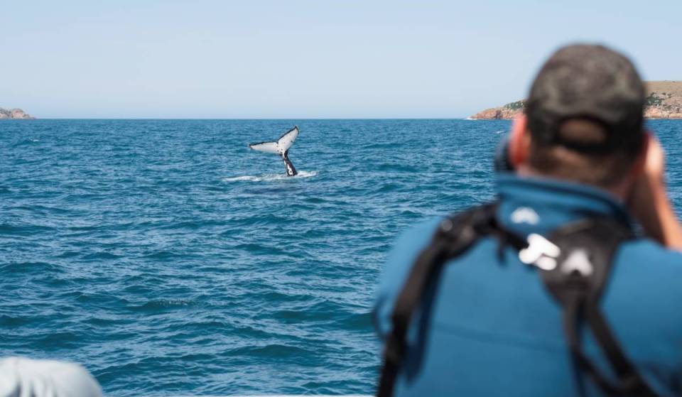 This coastal wilderness three hours away from Melbourne is the perfect winter escape, with whale watching cruises returning this week