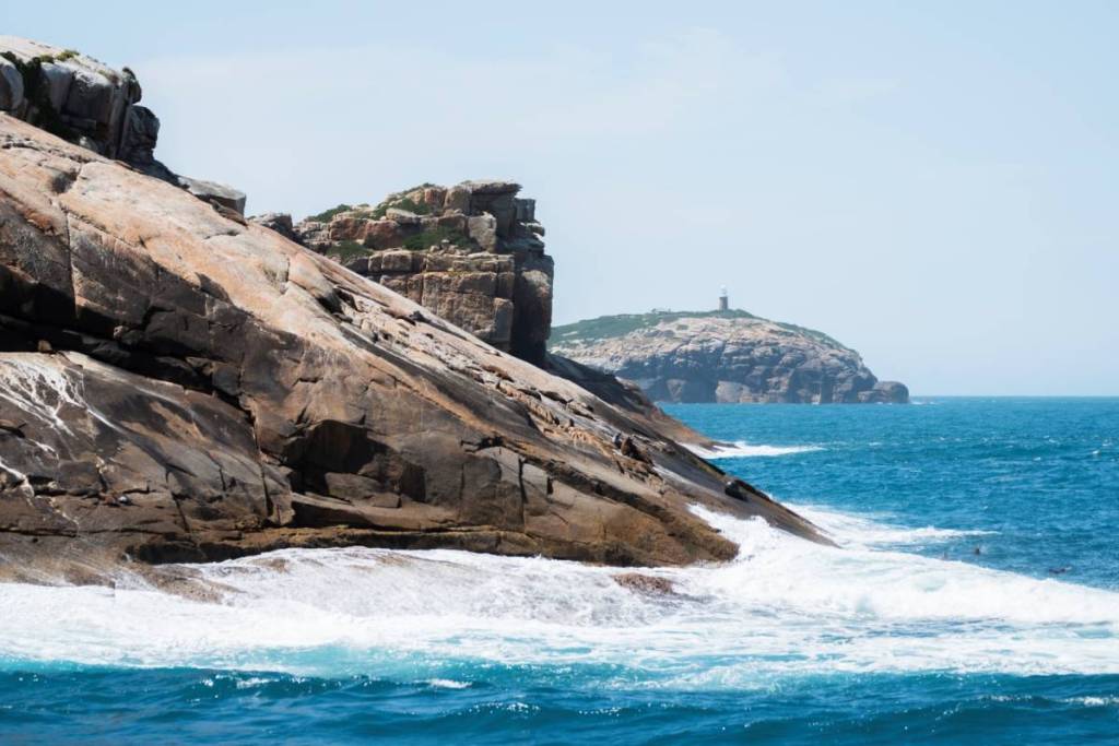 seals on rocky slope near Wilsons Prom