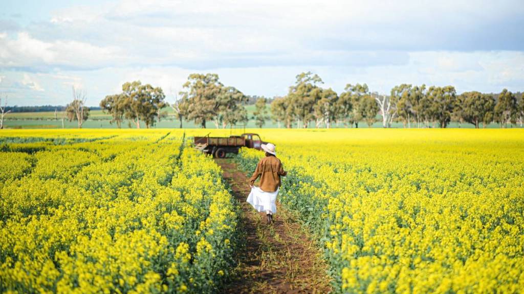 woman walking through path among canola fields at the Cornella Canola Walk
