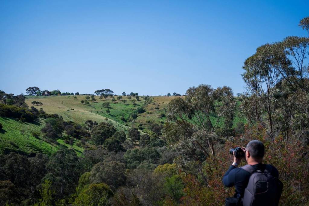 man taking photos of the view from up at the top of Organ Pipes National Park
