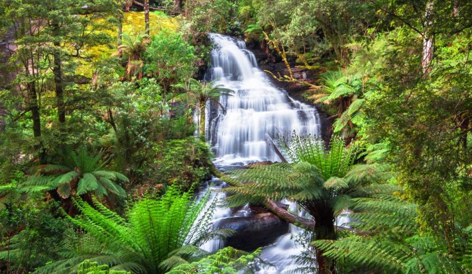 This ancient rainforest loop is filled with waterfalls, 300-year-old trees and old artefacts, and it’s 2.5 hours away from Melbourne