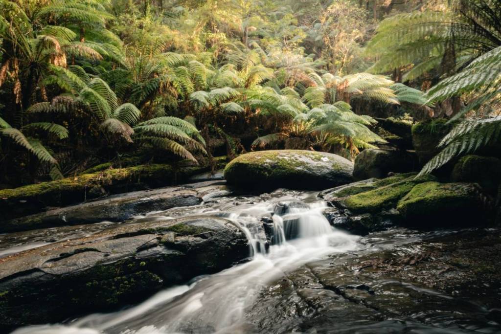 lower cascades of Triplet Falls