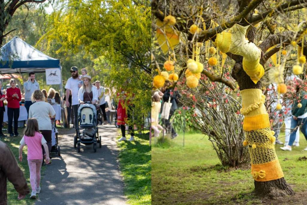 families walking under wattle trees, and a yarn-bombed tree at Hurstbridge Wattle Festival