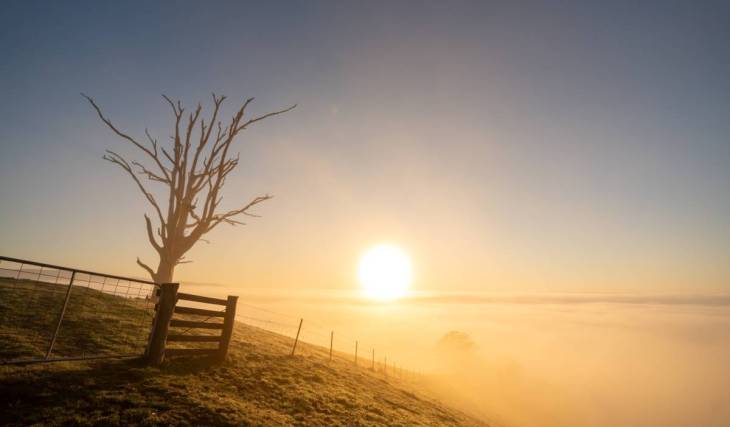 This dreamy sunrise spot near Melbourne features a single tree overlooking a misty valley