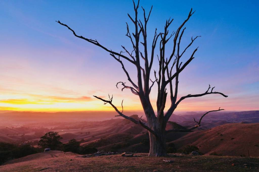different colours in the sky shifting from yellow to blue at either sunrise or sunset at Hang's tree