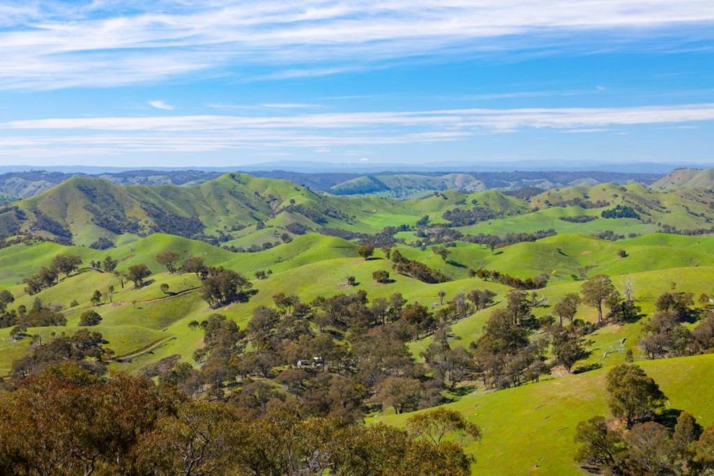 view from Murchison Gap Lookout of rolling green hills on a clear sunny day