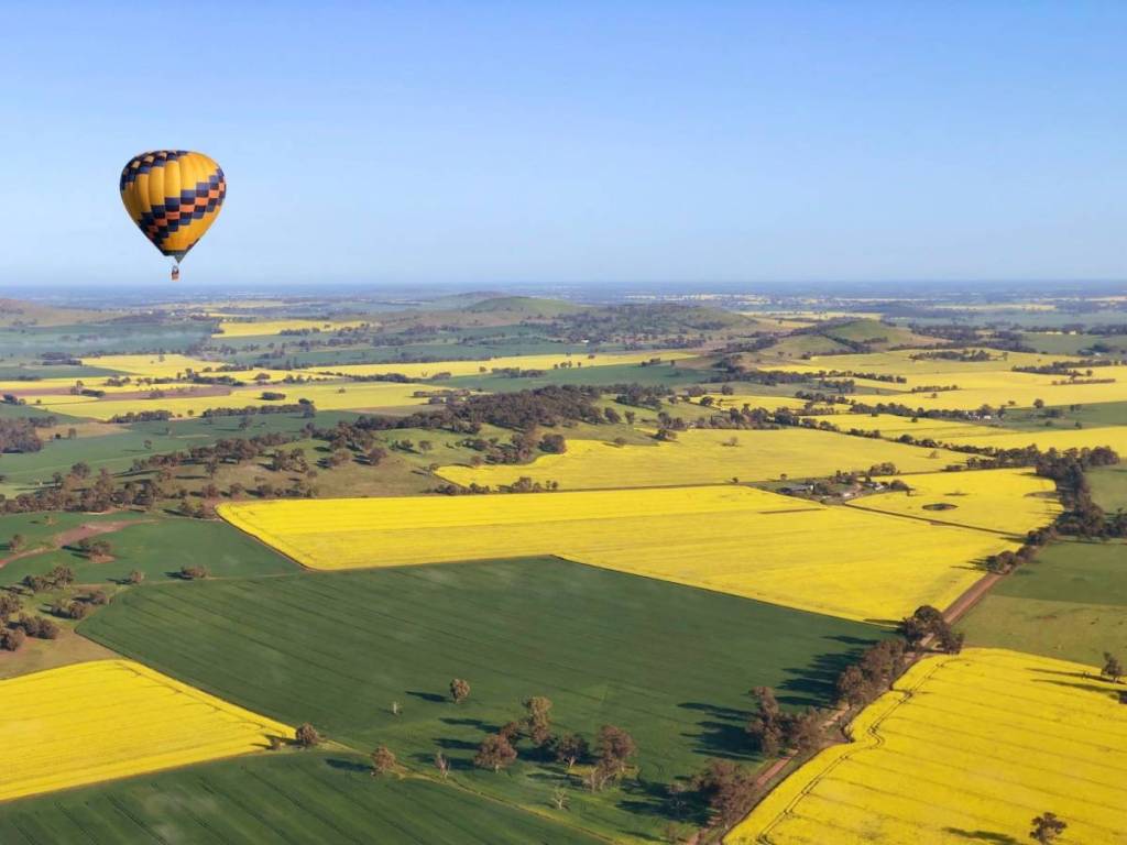 a hot air balloon flying over canola fields in Victoria