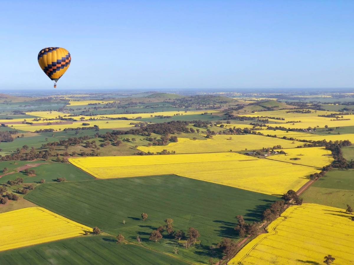 Soar over golden canola fields in a sunrise hot air balloon ride just 2.5 hours away from Melbourne