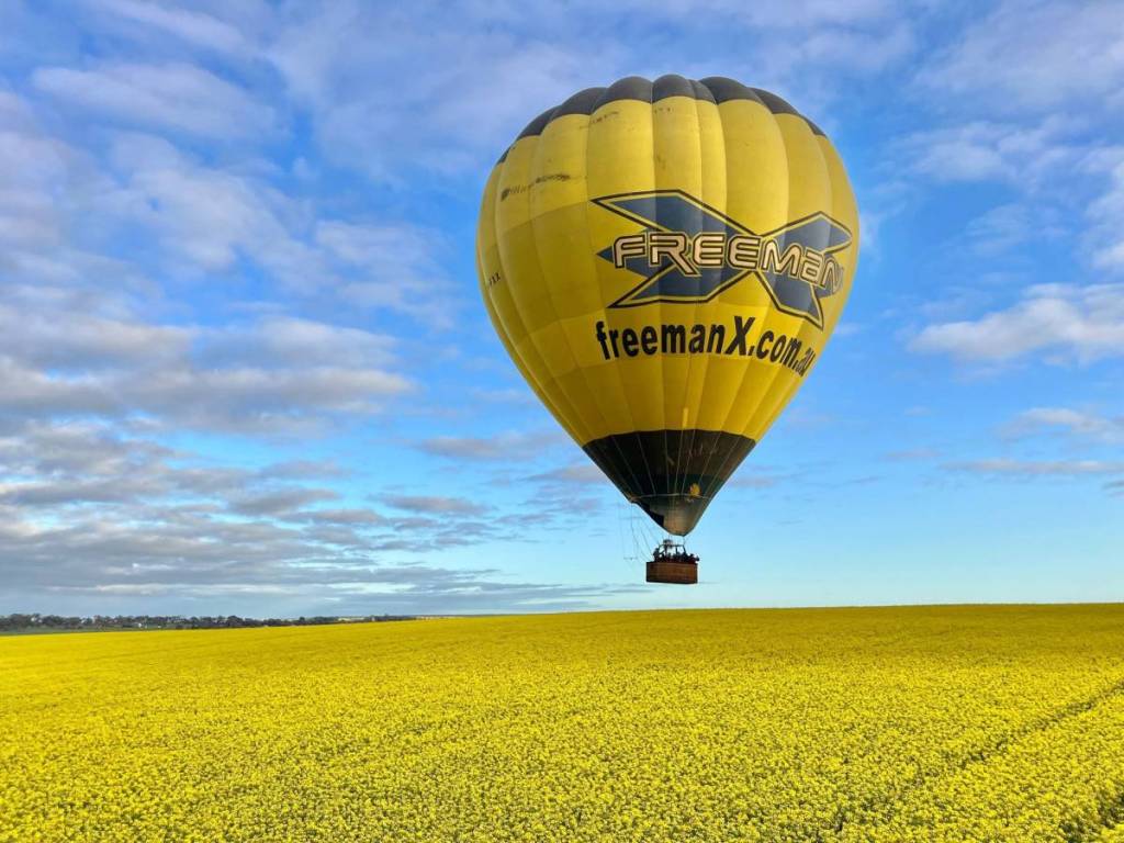 a hot air balloon hovering just above a canola field