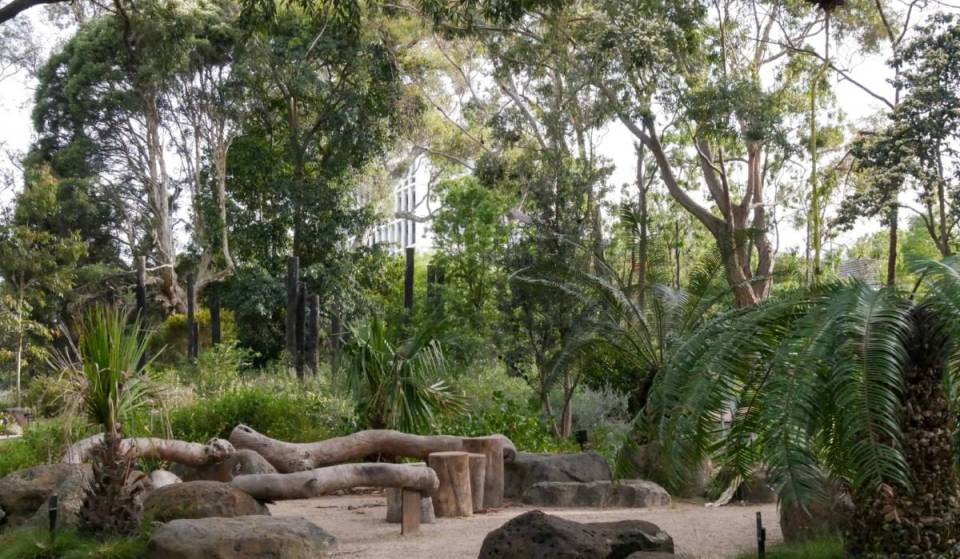 The Royal Botanic Gardens in Melbourne will transform into a living gallery, with walks, talks and more
