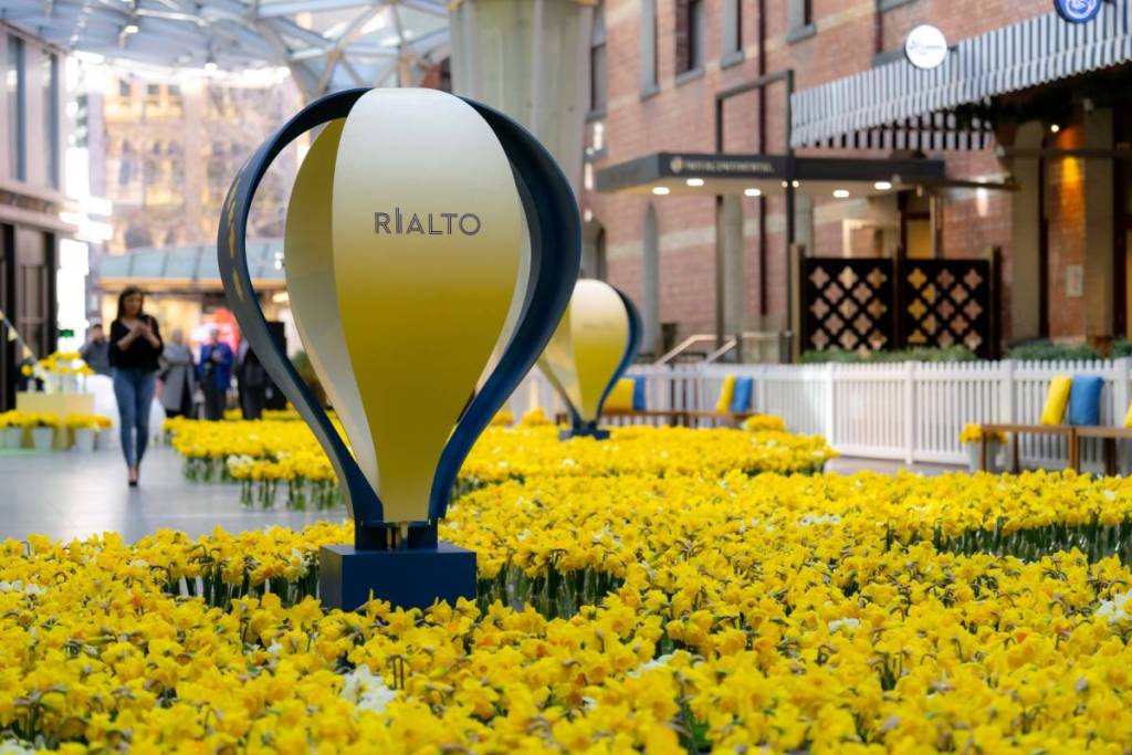 daffodils in glass bottles on the floor and a balloon installation at Rialto for Daffodil Day