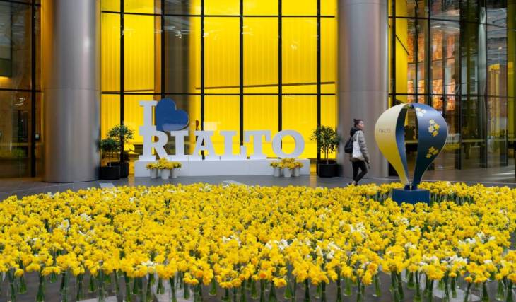 A sea of 35,000 yellow flowers and a massive LEGO installation will take over Rialto for Daffodil Day
