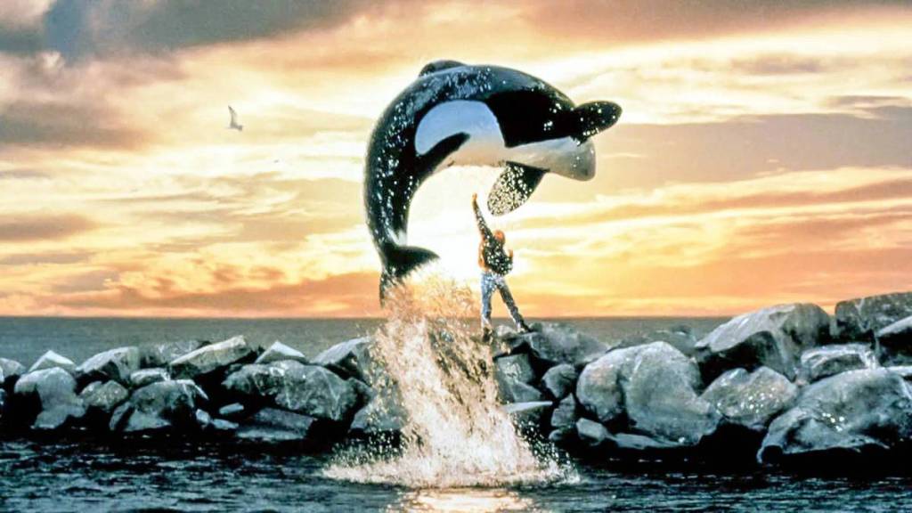 free willy screening at fed square