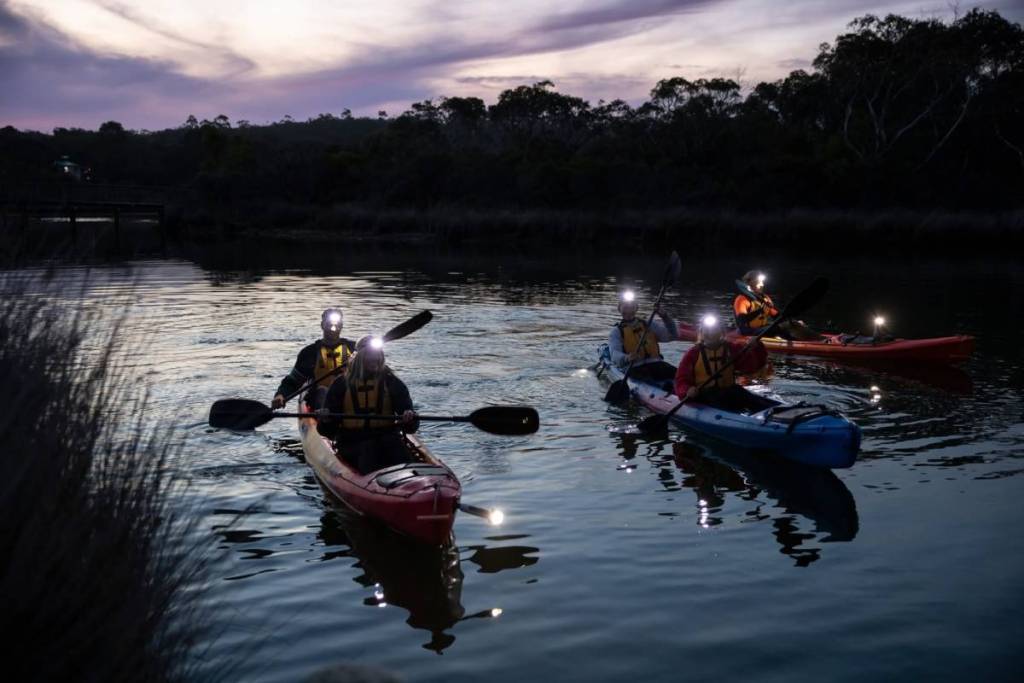 people kayaking at night on a river in Anglesea
