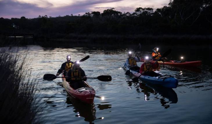 Go kayaking beneath the stars in this peaceful experience on the Great Ocean Road, just 90 minutes from Melbourne