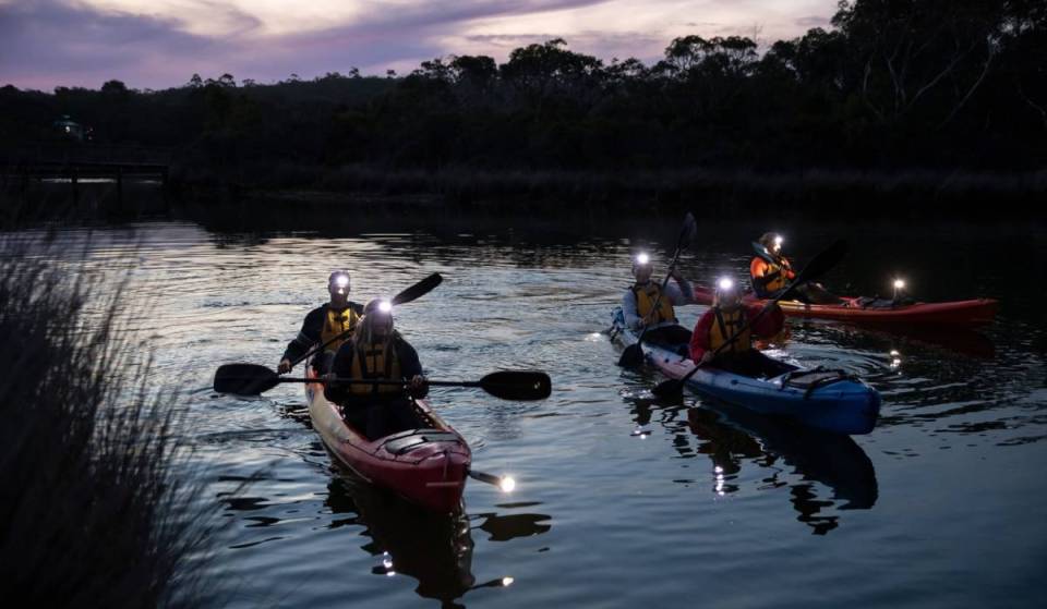 Go kayaking beneath the stars in this peaceful experience on the Great Ocean Road, just 90 minutes from Melbourne