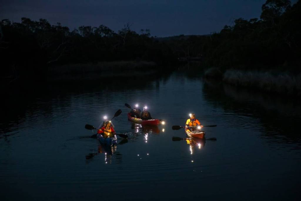 group of people kayaking along river in Anglesea at night
