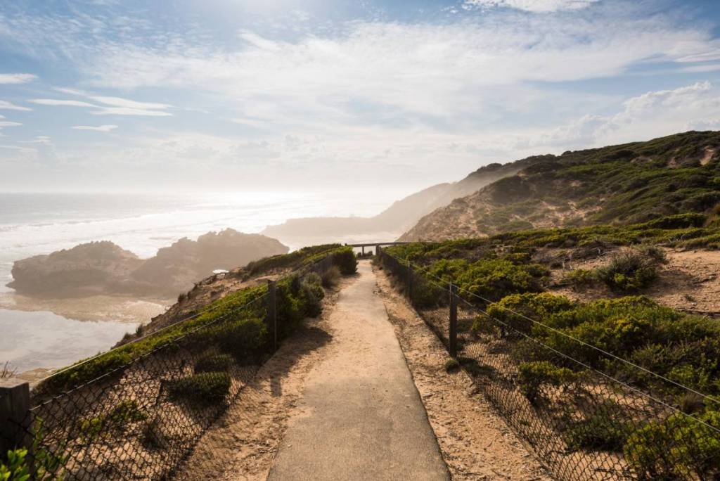 coastal walking track near Portsea